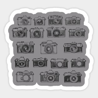 Vintage Cameras Sticker